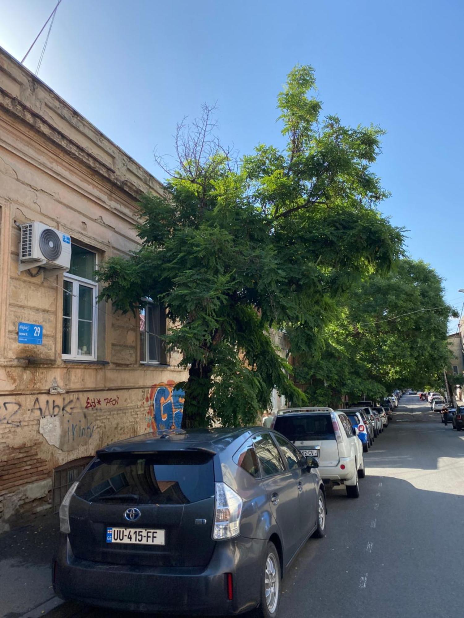 Old Tbilisi City Center, Two - Room Apartment المظهر الخارجي الصورة